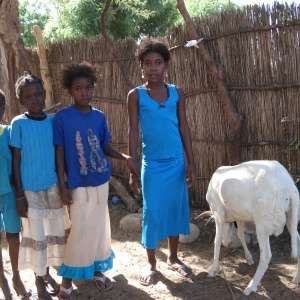 Fillettes et mouton