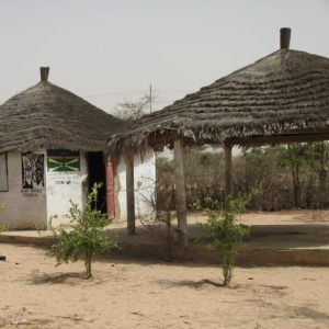 Les locaux de Yoon Wi - Les locaux de l'association pour le reboisement et le développement des l'agriculture dans les alentours de Meckhé Yoon Wi.