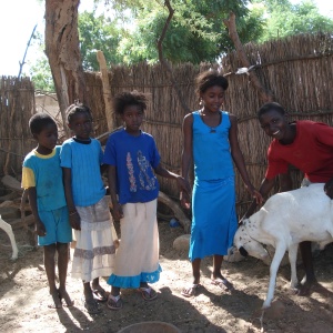 Enfants et moutons